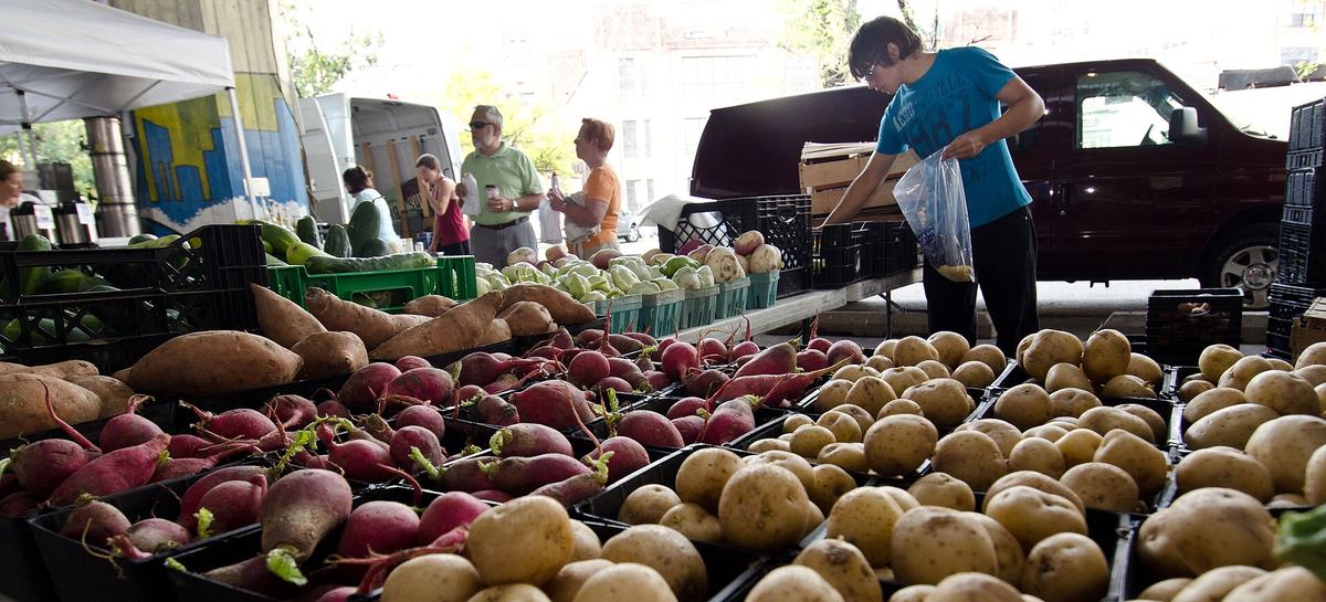 A farm stall piled with potatoes, sweet potatoes and radishes while a shopper fills a bag